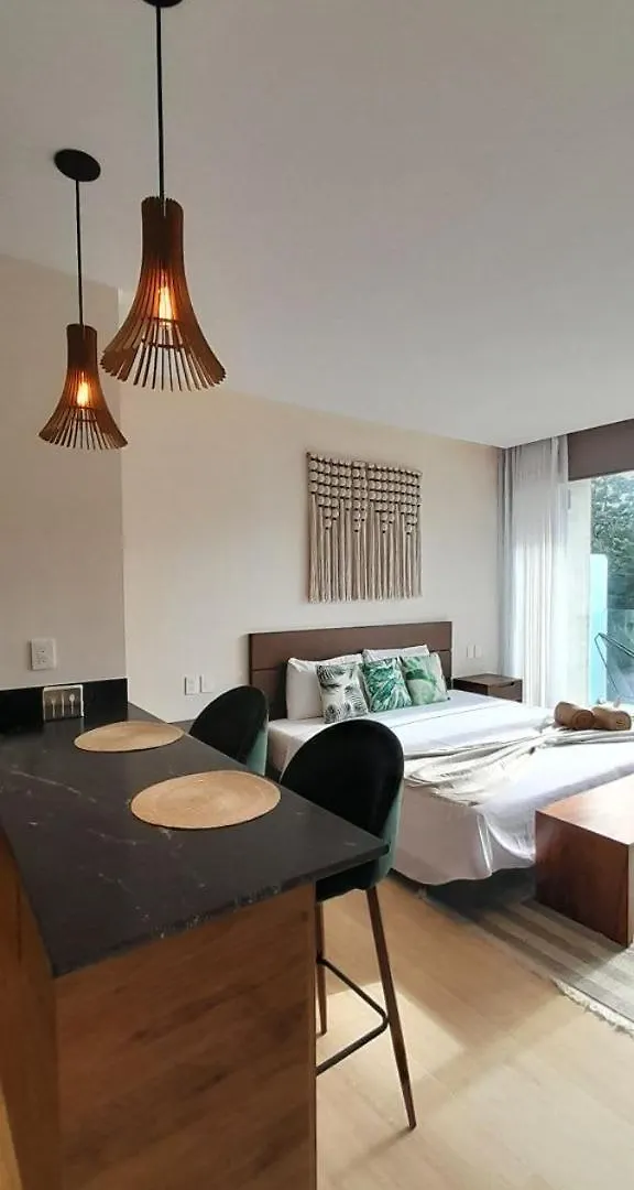 Tulum Hyde Home Office Master King Suite With Common Rooftop Pool Gym Wfi Apartment