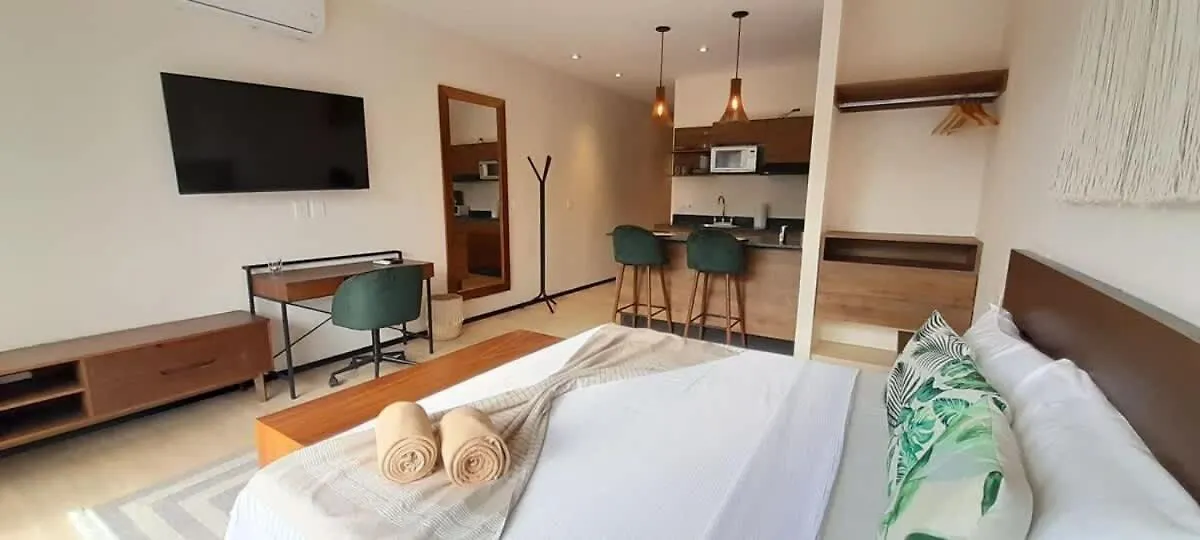 Tulum Hyde Home Office Master King Suite With Common Rooftop Pool Gym Wfi Apartment