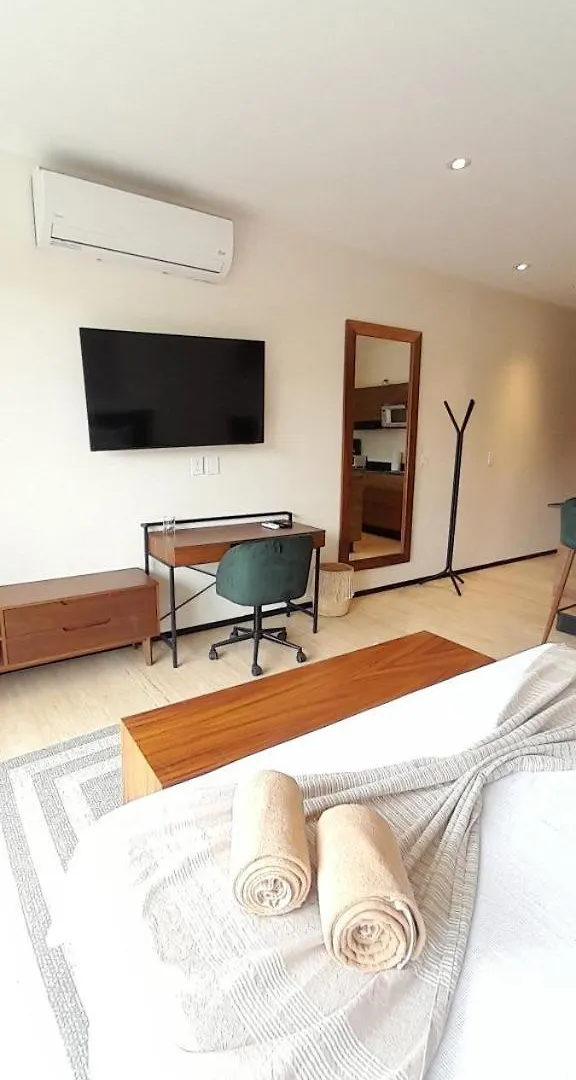 Tulum Hyde Home Office Master King Suite With Common Rooftop Pool Gym Wfi 0*,  Mexico